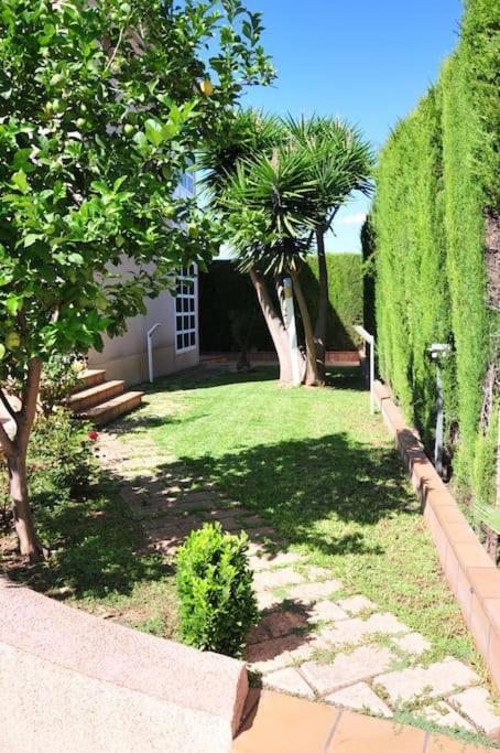 Villa Alfabia Πάλμα ντε Μαγιόρκα Εξωτερικό φωτογραφία