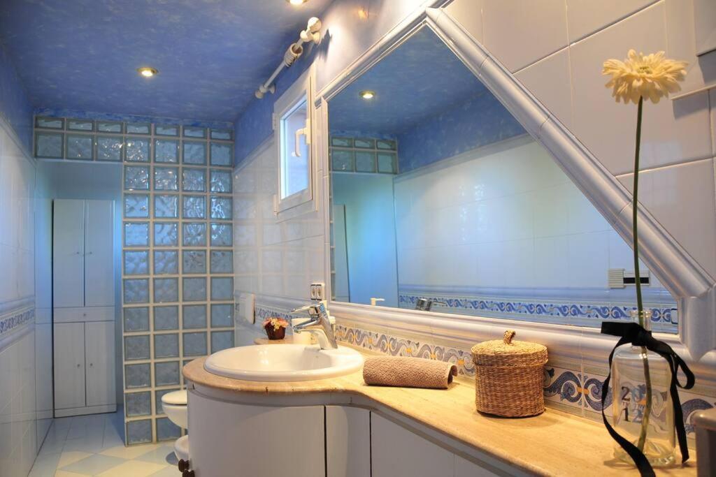 Villa Alfabia Πάλμα ντε Μαγιόρκα Εξωτερικό φωτογραφία